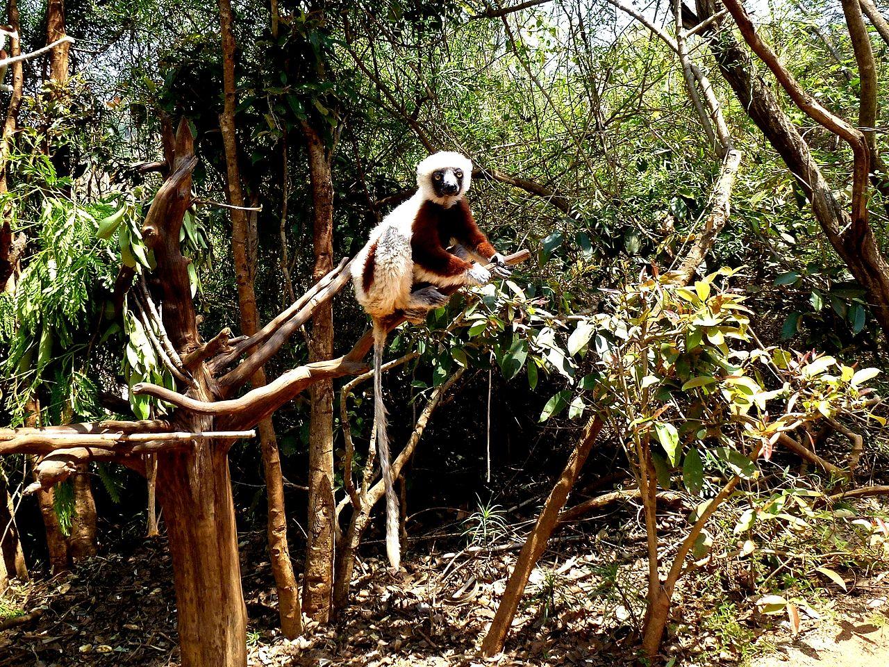 Antananarivo Province, Madagascar